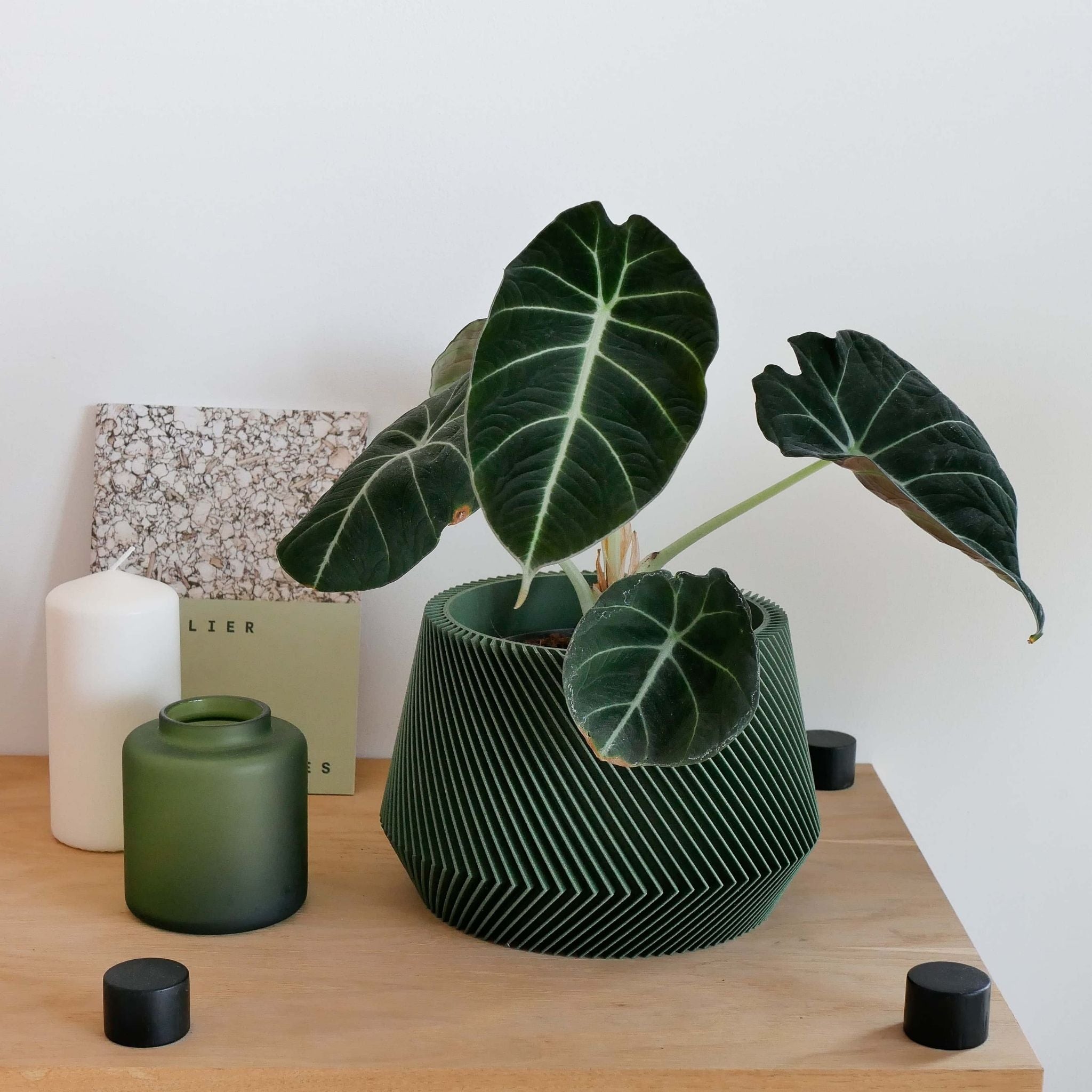 Geometrik Saksı | OSLO