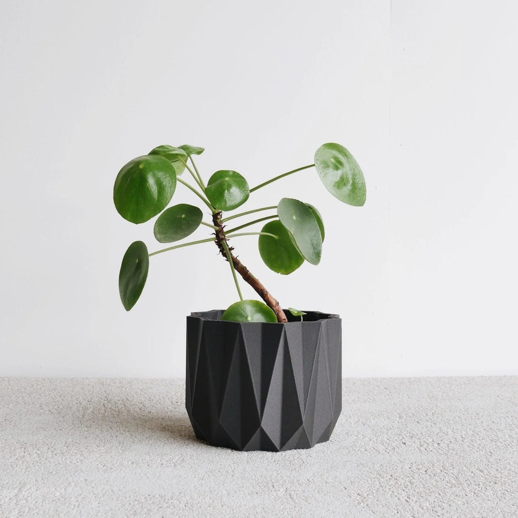 Sade ve Minimal Saksı | ROMA