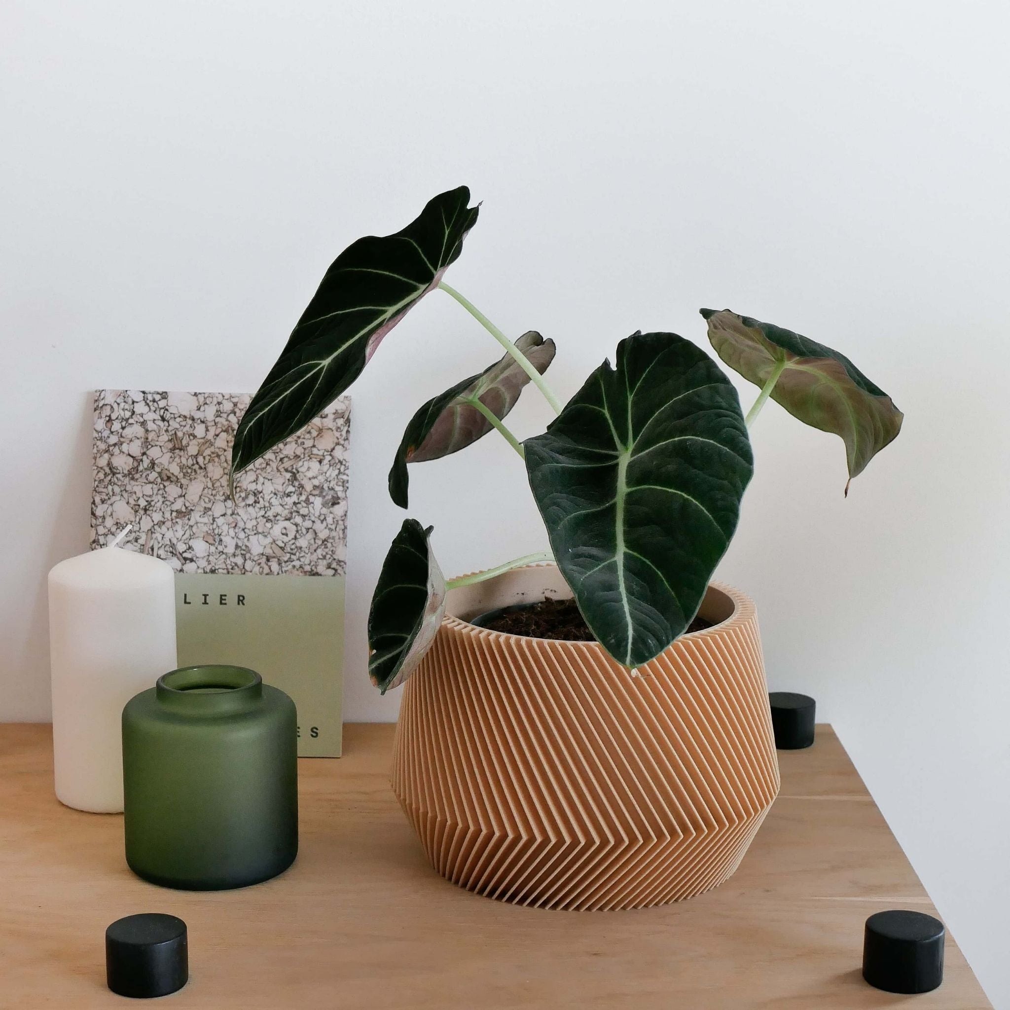 Geometrik Saksı | OSLO