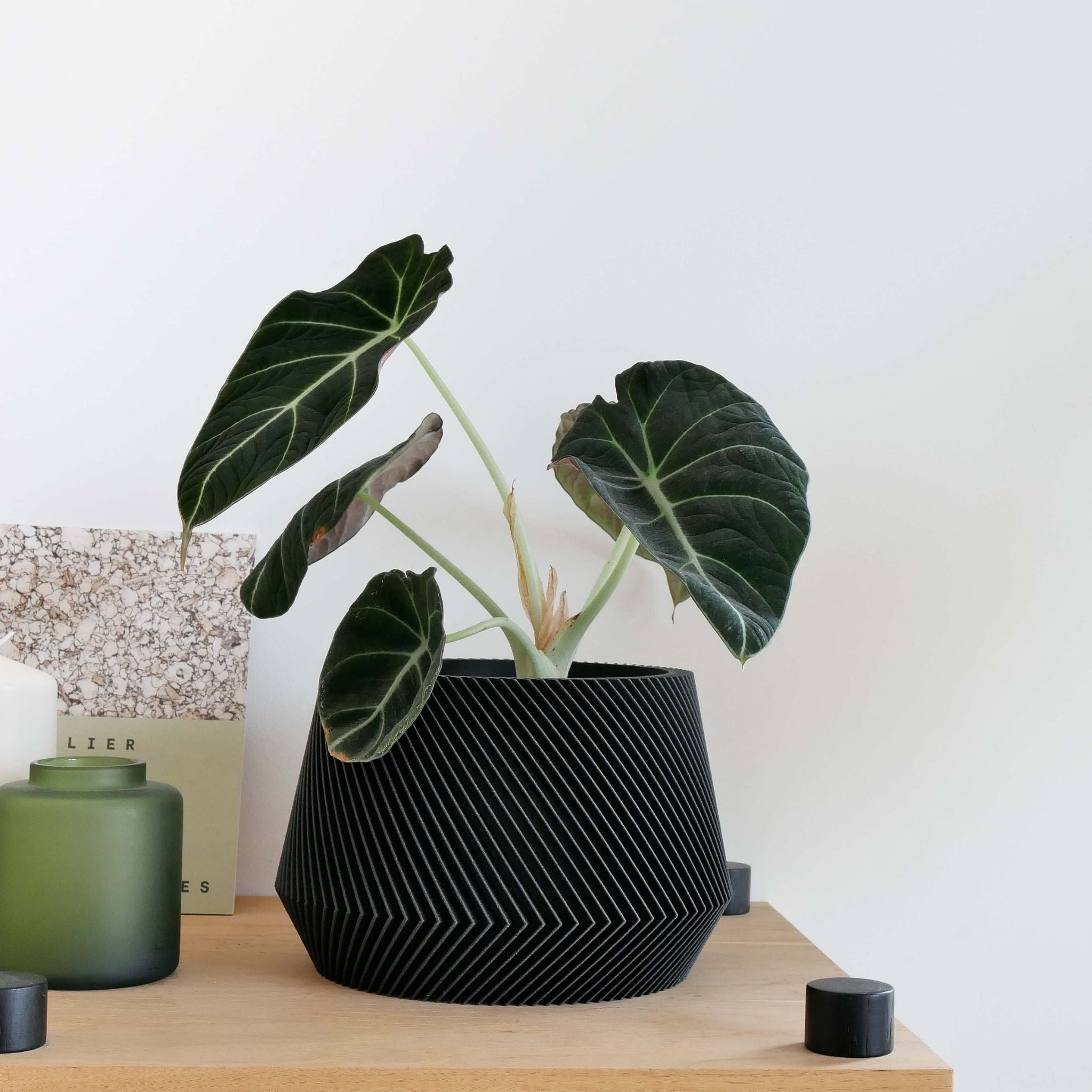 Geometrik Saksı | OSLO