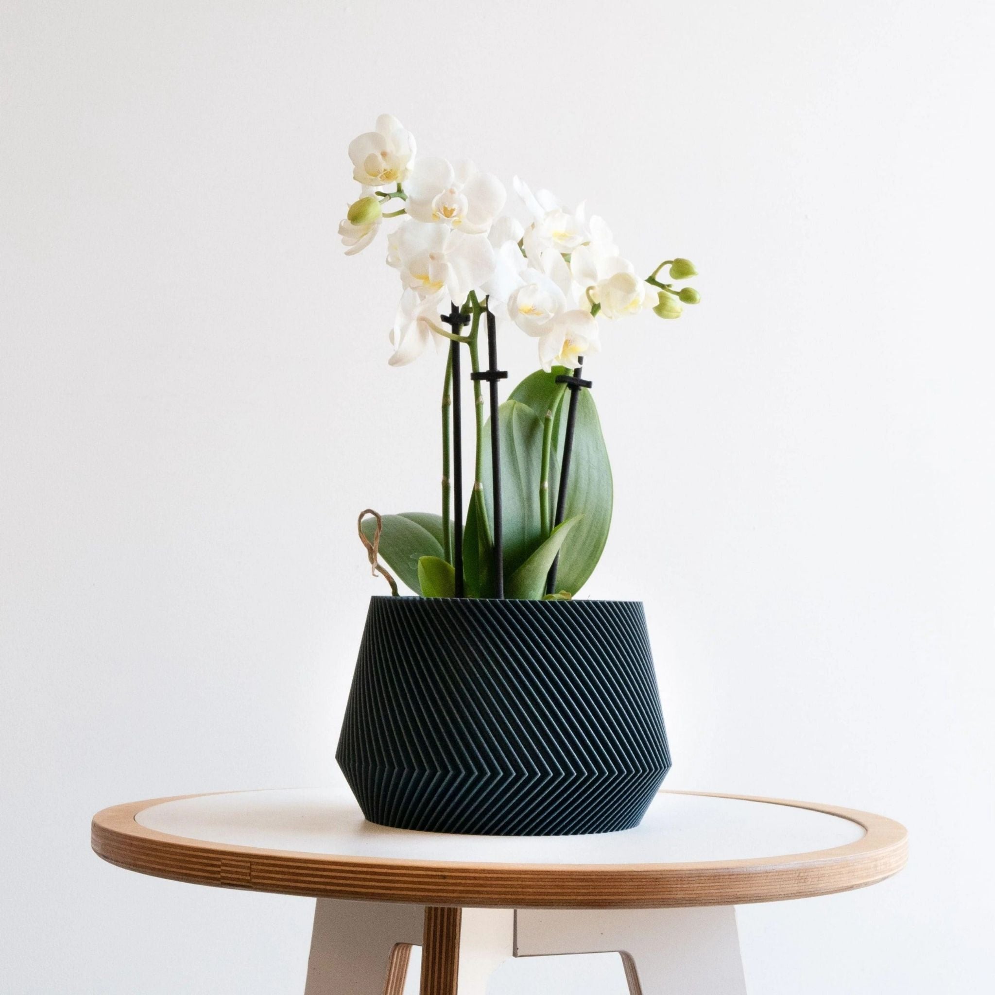 Geometrik Saksı | OSLO